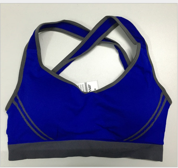 Seamless Sports Bra for Yoga & Fitness