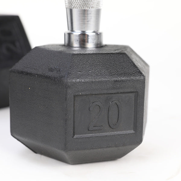 20LB Pair Rubber-Coated Cast Iron Dumbbells