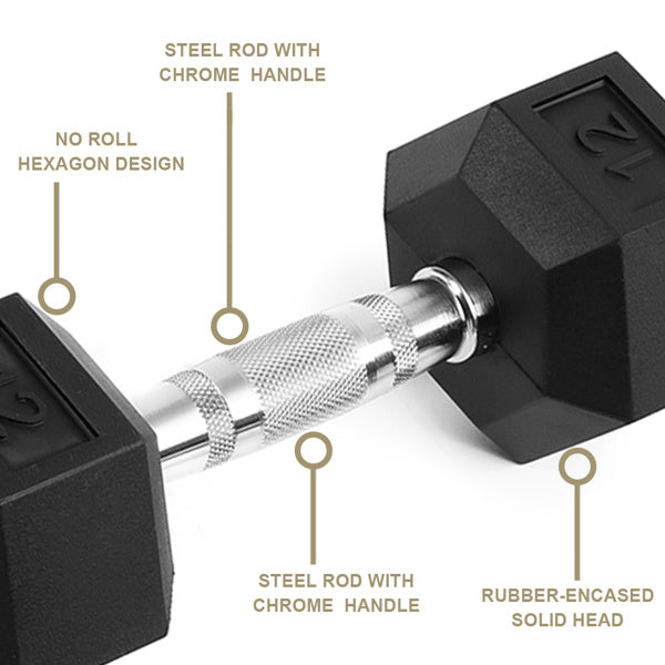 20LB Pair Rubber-Coated Cast Iron Dumbbells
