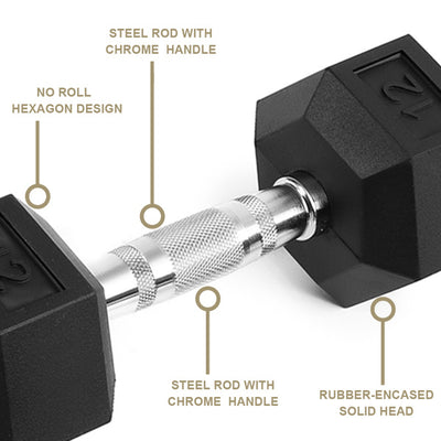 20LB Pair Rubber-Coated Cast Iron Dumbbells