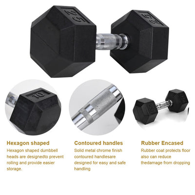 20LB Pair Rubber-Coated Cast Iron Dumbbells