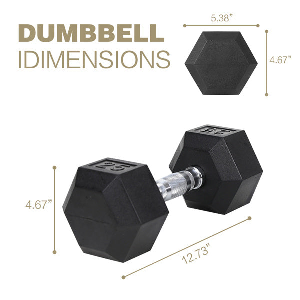 20LB Pair Rubber-Coated Cast Iron Dumbbells