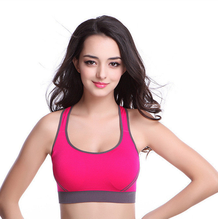 Seamless Sports Bra for Yoga & Fitness