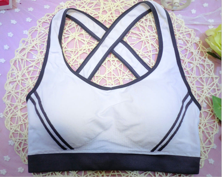 Seamless Sports Bra for Yoga & Fitness