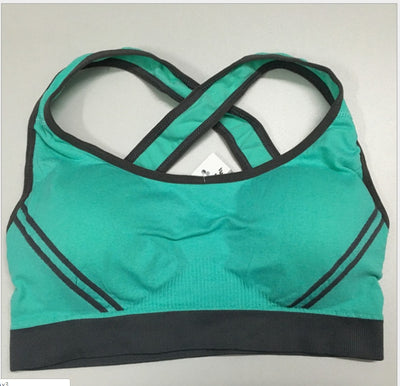 Seamless Sports Bra for Yoga & Fitness